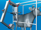 Thanks to servo pneumatics, the milking robot is flexible